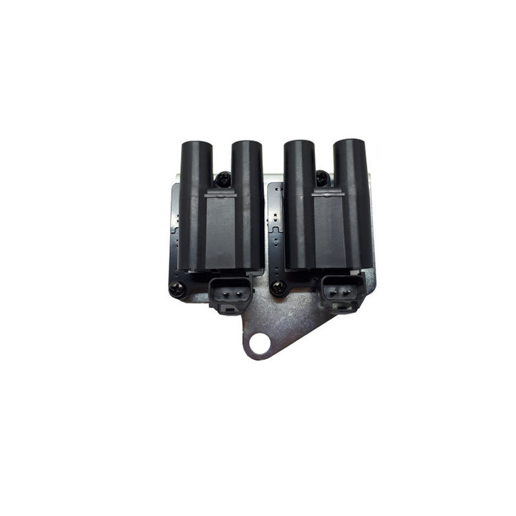 کوئل دو قلو سوزنی پژو ورداتی فوقالعاده با گارانتی یکساله